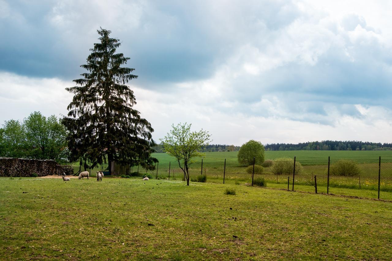 Penzion U Kostela Mlaka Экстерьер фото